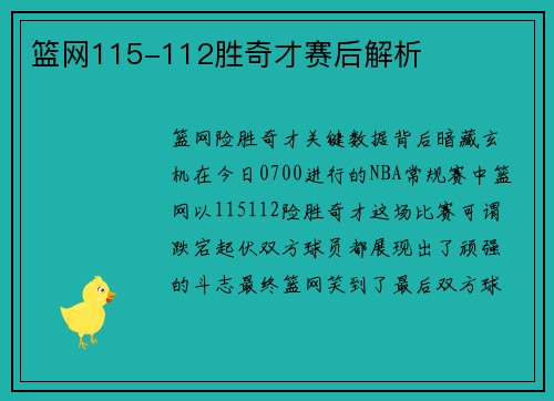 篮网115-112胜奇才赛后解析