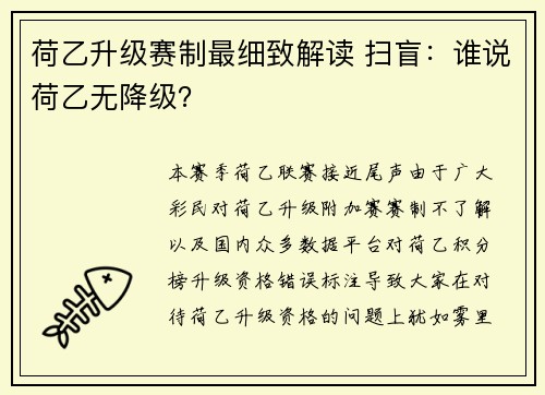 荷乙升级赛制最细致解读 扫盲：谁说荷乙无降级？